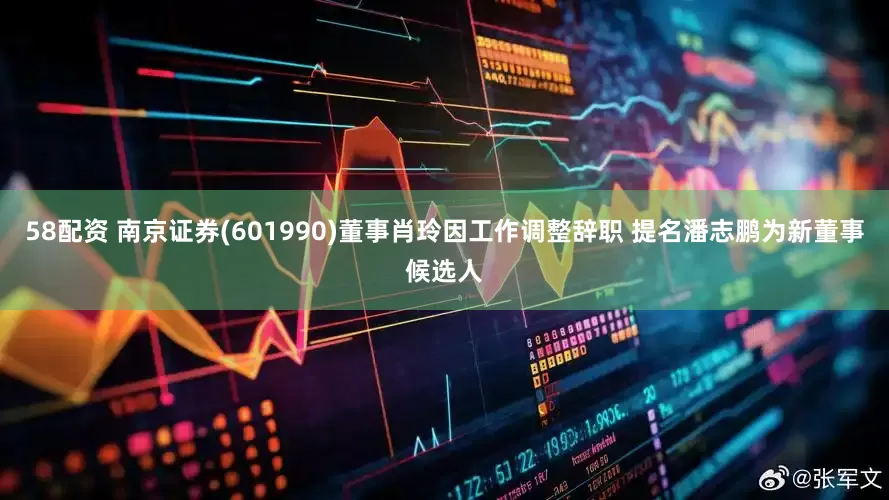58配资 南京证券(601990)董事肖玲因工作调整辞职 提名潘志鹏为新董事候选人