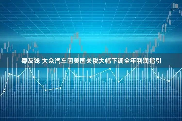 粤友钱 大众汽车因美国关税大幅下调全年利润指引