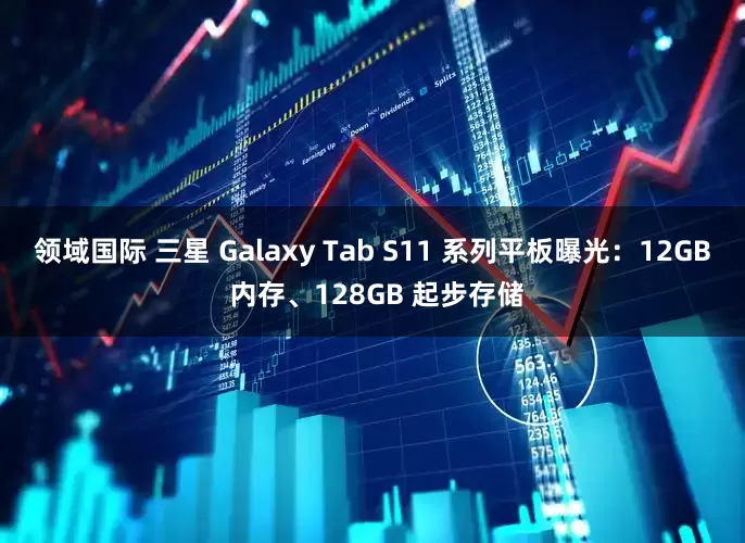 领域国际 三星 Galaxy Tab S11 系列平板曝光：12GB 内存、128GB 起步存储