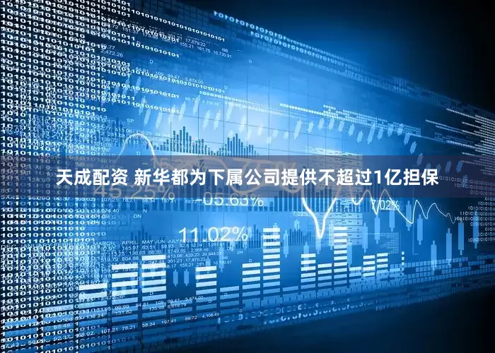 天成配资 新华都为下属公司提供不超过1亿担保