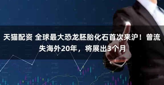 天猫配资 全球最大恐龙胚胎化石首次来沪！曾流失海外20年，将展出3个月