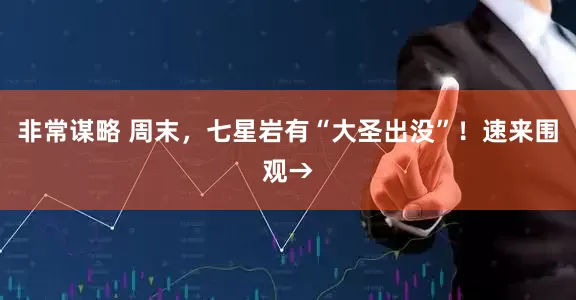 非常谋略 周末，七星岩有“大圣出没”！速来围观→
