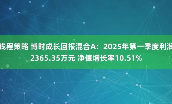 钱程策略 博时成长回报混合A：2025年第一季度利润2365.35万元 净值增长率10.51%