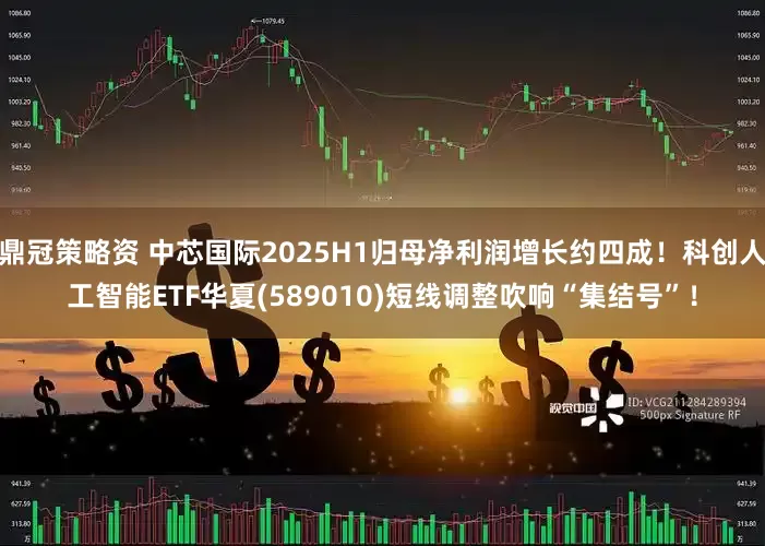 鼎冠策略资 中芯国际2025H1归母净利润增长约四成！科创人工智能ETF华夏(589010)短线调整吹响“集结号”！
